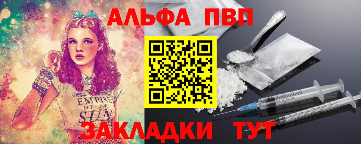 Alfa_PVP СК Борзя