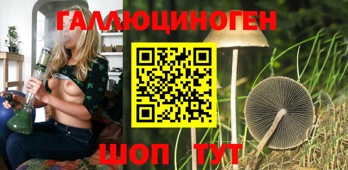 Псилоцибиновые грибы MAGIC MUSHROOMS  Вход с VPN  купить наркотик  Борзя 
